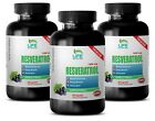 RED WINE – Resveratrol 1200 Anti Aging – Resveratrol Supreme (3 Bottle 180 Cap)