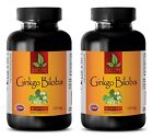 brain memory booster – GINKGO BILOBA EXTRACT 120mg – Improves Blood Flow – 2 Bot